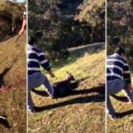 Man arrested in Melbourne after ‘abhorrent’ kangaroo killing