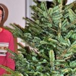 How to pick the perfect Christmas tree from the men who pick Harry and Meghan's