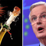 Happy new year! Brexiteers DELIGHTED as UK prepares to leave EU three months EARLY