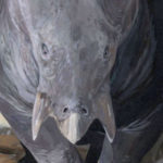 Discovery Of 200million Year Old Huge Mammal Throws Evolution Understanding Into Question