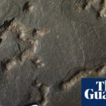 Ancient rock wiggles could be earliest trace of moving organism