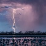 2016 in pictures: The best science images of the year