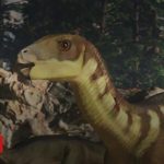 Galleonosaurus dorisae: New dinosaur discovered in Australia