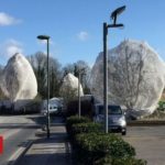 Why are nets appearing over trees and hedges?