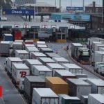 Brexit: Operation Yellowhammer no-deal document published