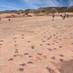 Land of the dinosaurs in Bolivia’s ‘Jurassic Park’