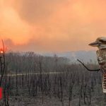 Worst of Australia's fire season 'still ahead'