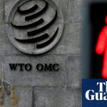 UK's post-Brexit trade at risk as WTO's top court shuts down