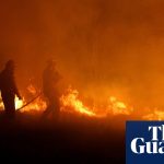 Australian bushfires to contribute to huge annual increase in global carbon dioxide