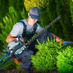 TOP 3 BENEFITS OF TREE SURGERY SERVICES FOR YOU