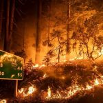 Wildfires Burn Through Record Area In California As Blazes Continue To Spread