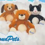 Data from internet-connected teddy bears held ransom, security expert says