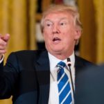 Trump Talks Infrastructure with Musk, Developers