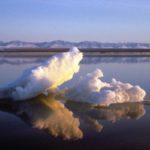 Trump's choices of Cabinet renew debate over opening Alaska's Arctic refuge to oil drilling
