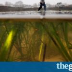 Record-breaking climate change pushes world into ‘uncharted territory’