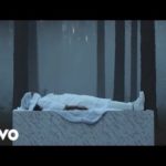 Sia – Loved Me Back To Life [Music Video]