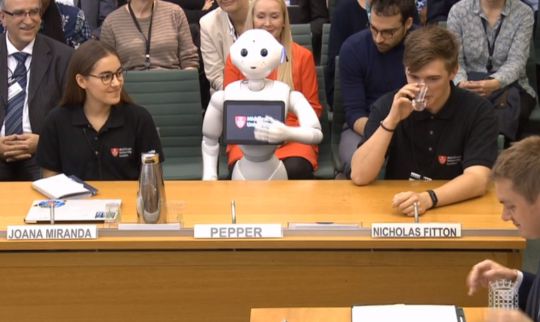 First Non-Human Witness In Parliament Is The Robot
