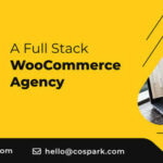 WooCommerce Development Agency