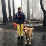 Death Toll Raised To 84 In Camp Fire; 475 Still Missing
