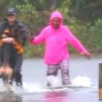 Reporter Stops Broadcast To Save Dog From Floodwater During Hurricane Florence